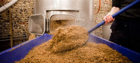 Barley Extract: Unveiling its Potential in Brewing and Food Manufacturing!