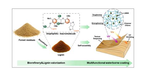  Lignin Nanostrukturer: En Översikt Over Revolutionerande Material för Biobaserade Applikationer!