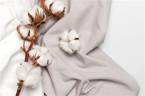 Sea Island Cotton: Egenskaper för Luxuriösa Tyger och Hållbar Produktion!